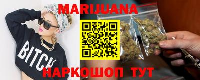 сатива Лесосибирск