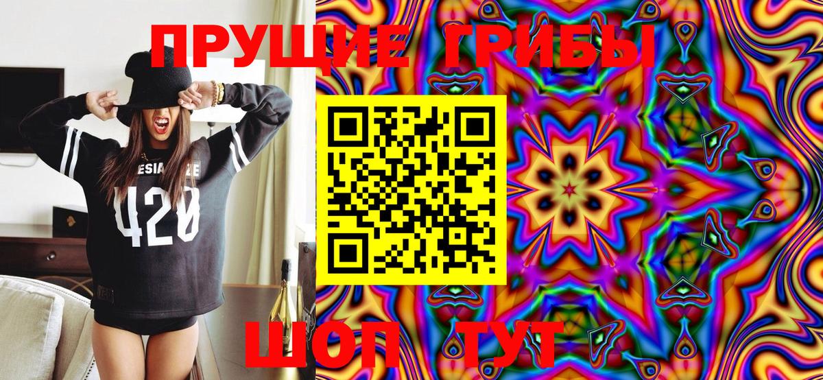 Галлюциногенные грибы Magic Shrooms  Вход с VPN  Юрга 