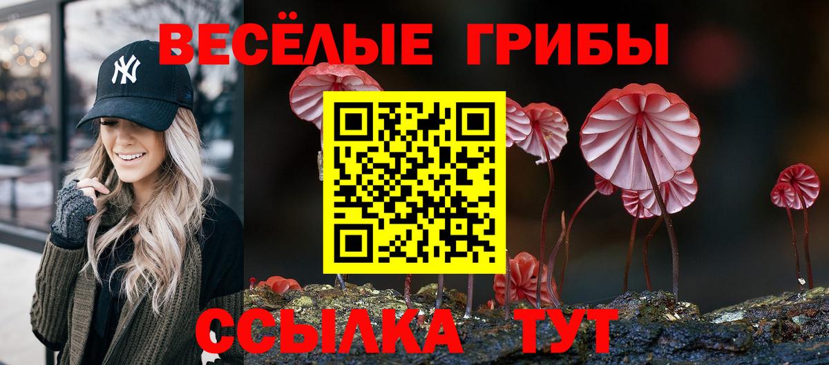Псилоцибиновые грибы прущие грибы Юрга